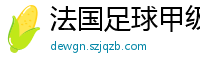 法国足球甲级联赛